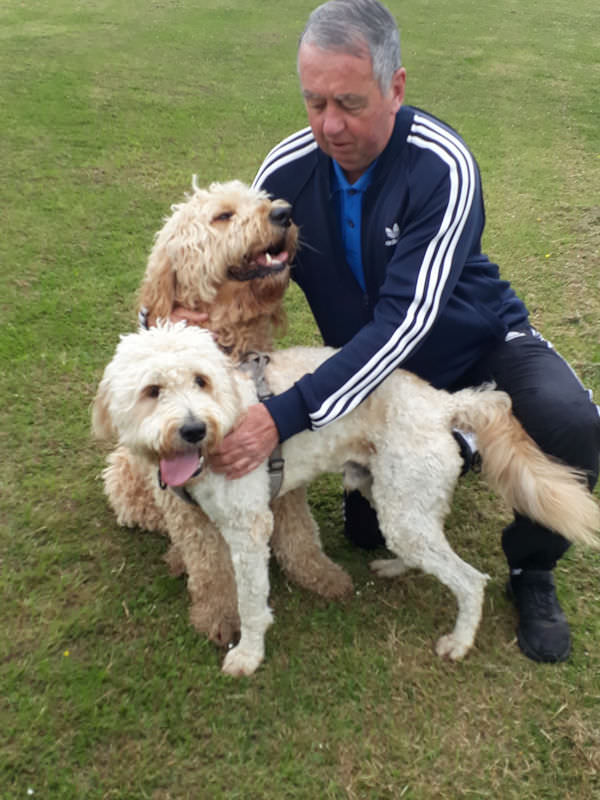 David with labradoodles, Roonie and Roo